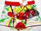 ~EKSTRA~3002 SUPER bokserki*CARS*M-ok.116/122 red