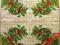 Serwetki do decoupage NR 509 - 2szt.