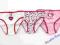 Majtki, majteczki HELLO KITTY 3-pack 116-128 6/8l