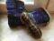 Buty zimowe CATCH sniegowce rozm.26 chlopiece