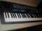 Keyboard Casio CTK-495