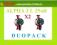 GRUNDFOS ALPHA2 L 25-60 Pompa  C.O x2 DUO PACK
