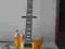 WASHBURN WI66PRO FHB Seymour Duncan Sh1 / Sh11