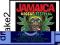 JAMAICA REGGAE FESTIVAL [CD]