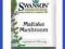 SWANSON MAITAKE MUSHROOM 500mg GRZYBEK MAITAKE 180