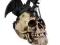 DRAGON FAMILIAR SKULL - 18 CM