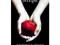 TWILIGHT STEPHENIE MEYER international bestseller