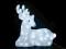 FIGURA AKRYLOWA JELEŃ 64 LED 38,5cm