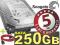 DYSK TWARDY Seagate 250GB SATA NOWY +KABEL GW36 FV