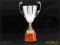 PUCHAR PUCHARY 33 cm TROFEA GRAWER GRATIS 3030N/D