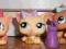 Littlest pet shop LPS kotki+dodatek