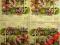 Serwetki do decoupage NR 581 - 1szt.- KWIATY