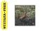 PTASI RAJ (BIEBRZAŃSKI PARK NARODOWY) [CD]