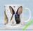 KUBEK I Love Rabbits 3650