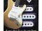 PickUps Custom Shop Texas Special Strat FENDER