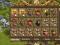 Settlers Online Dolina Odkrywców 50lev