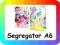 SEGREGATOR NA KARTECZKI A6 MY LITTLE PONY KUCYKI