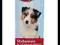 TRIXIE KROPLE PŁYN DO NAUKI SIUSIANIA 50ml TX-2934