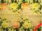 Serwetki do decoupage NR 338 -1szt.- PASTEL. RÓŻE
