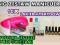 ZESTAW BIG MANICURE HYBRYDOWY LAMPA LCD +10xLAKIER