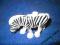 Lego Duplo zebra