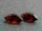 PARA - Granat (Pyrope) markiza 5x10 mm / 2,15 ct