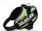 Uprząż Julius-K9 IDC Mini-Mini 40-53 cm, kiwi