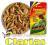 TROPICAL Gammarus Shrimps mix 20g-gady i duże ryby