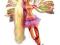 SIRENIX FAIRY WINX CLUB: LALKA czarodziejka STELLA