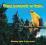 PTASI PORANEK W LESIE - NATURALNE ODGŁOSY NATURY