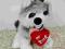 Pies Husky Serce Love (Głos) 32cm IDEALNY PREZENT