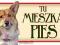 WALIJSKI CORGI PEMBROKE TABLICZKA NA  DRZWI PIES