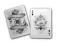 Karty do gry ARCANE WHITE od Ellusionist POKER