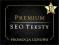 COPYWRITING SEO PISANIE TEKSTY PRECLE 500 znk | FV