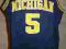 KOSZULKA MICHIGAN WOLVERINE WEBBER ROSE NIKE ELITE