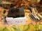 Playstation 3 160 GB + pad + 21 gier