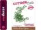 Wykrojnik CottageCutz Holiday Floral Spray CCE174