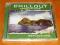 CHILLOUT COMPILATIONS -- Reflections Pure relaxing