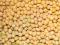 Soja nasiona / ziarno soi - ekspresowa dostawa