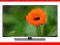 TV 40 LCD LED Samsung UE40H5500 (Tuner Cyfrowy 1