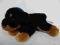 CUDNA MASKOTKA PIESEK ROTTWEILER KEEL TOYS 30 CM