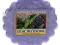 Yankee Candle wosk tarta swieca Lilac Blossoms