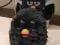 FURBY CZARNY HASBRO POLSKI