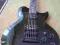 WASHBURN WI200pro (seymour, grover, pokrowiec)