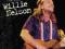 WILLIE NELSON - ON THE ROAD AGAIN 2 CD