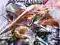 Soul Calibur V (5) XBOX 360