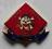 4th Recon Battalion (4th Marine Division) USMC pin