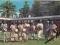NIGERIA - MUZYCY - FOLKLOR - STROJE