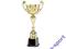 Puchar Tryumf 4111C wys. 45cm GRAWERKA GRATIS!