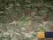 CORDURA MTP MULTICAM kodura kordura tkanina camo